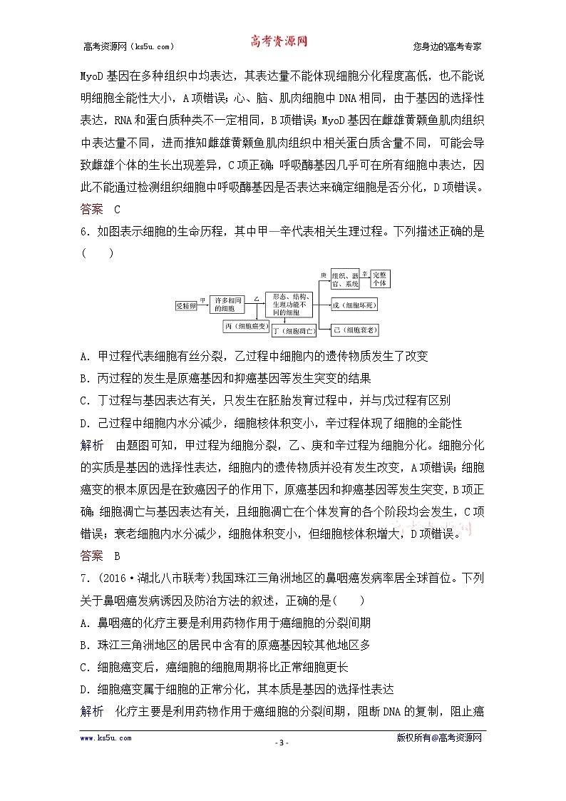 2020年人教版生物高考总复习练习：第四单元 第3讲 细胞的分化、衰老、凋亡和癌变第3页
