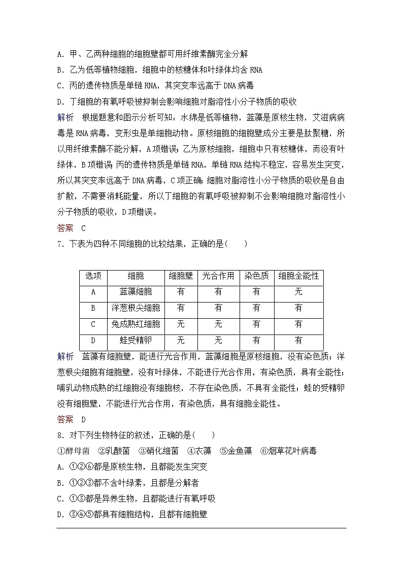 2020年人教版生物高考总复习练习：第一单元 第1讲 走进细胞第3页