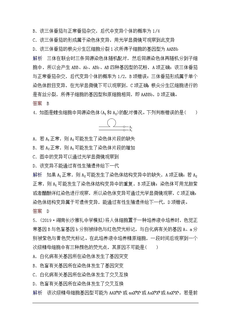 2020年人教版生物高考总复习练习：第七单元 第2讲 染色体变异第2页