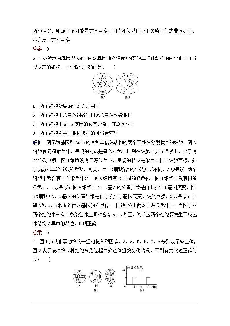 2020年人教版生物高考总复习练习：第七单元 第2讲 染色体变异第3页