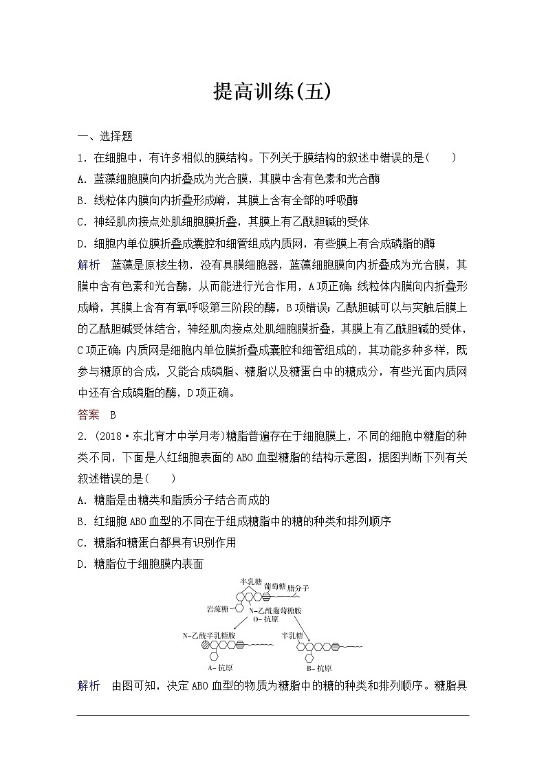 2020年人教版生物高考总复习练习：第二单元 第1讲 细胞膜与细胞核01