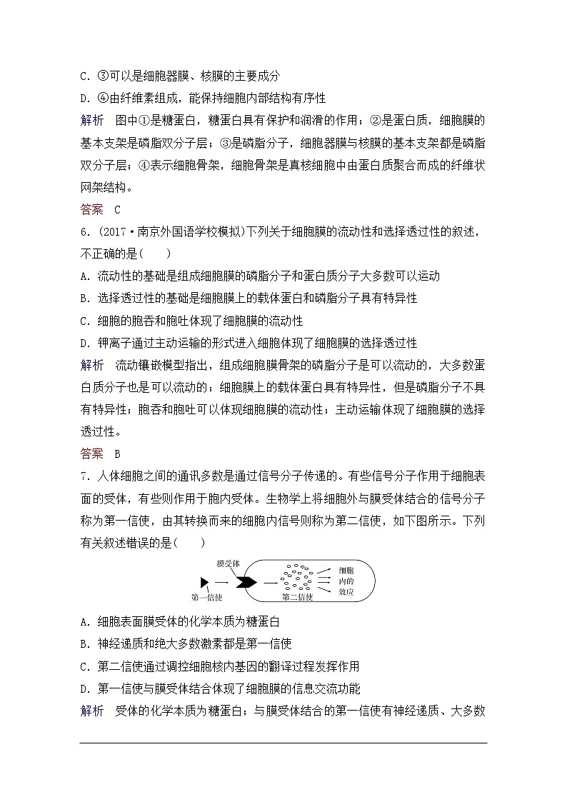 2020年人教版生物高考总复习练习：第二单元 第1讲 细胞膜与细胞核03