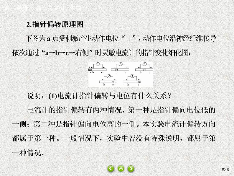 2020年人教版生物高考总复习课件：第八单元 热点题型十一 膜电位测量与电流表偏转问题第3页