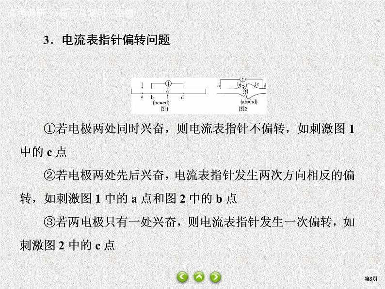 2020年人教版生物高考总复习课件：第八单元 热点题型十一 膜电位测量与电流表偏转问题第5页