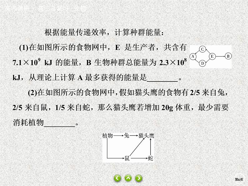 2020年人教版生物高考总复习课件：第九单元 热点题型十四 能量流动相关计算06