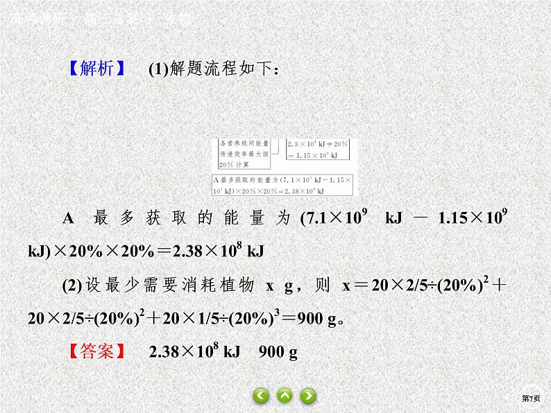 2020年人教版生物高考总复习课件：第九单元 热点题型十四 能量流动相关计算07