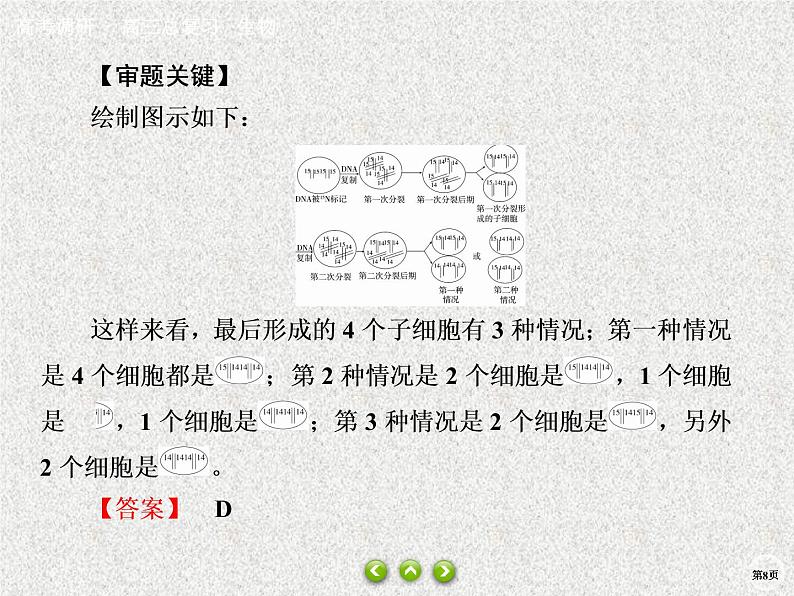 2020年人教版生物高考总复习课件：第六单元 热点题型九 DNA复制与细胞分裂综合08