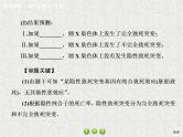 2020年人教版生物高考总复习课件：第五单元 热点题型六 分离定律在特殊情况下的应用
