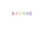 2.2生命活动的承担者—蛋白质2 课件