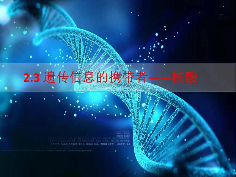 2.2 DNA、RNA 课件01