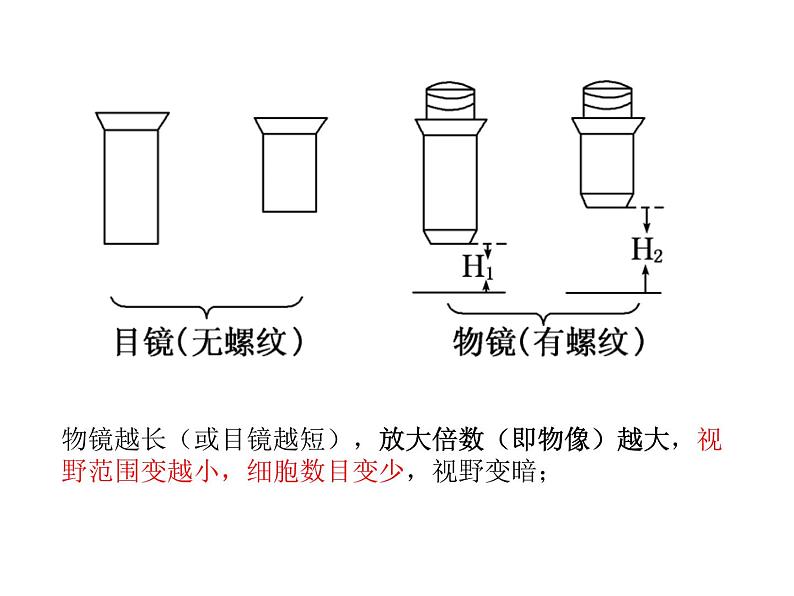 1.2，生物的多样性与统一性第4页