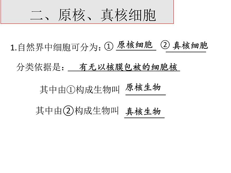 1.2，生物的多样性与统一性第7页