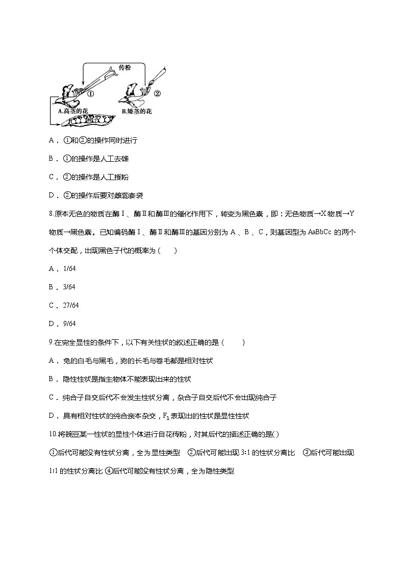【精编】人教版 高中生物必修二 第1章 遗传因子的发现 测试题（含答案）03