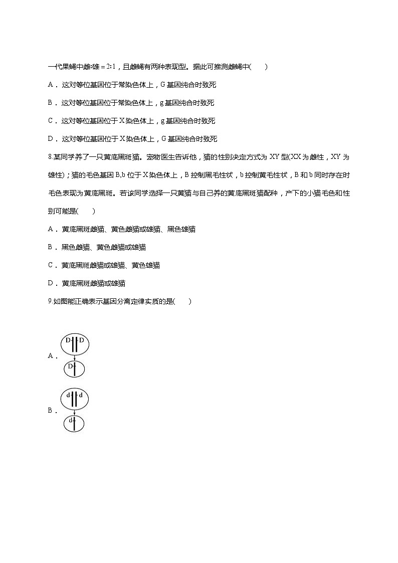 【精编】人教版 高中生物必修二 第2章 基因和染色体的关系 测试题（含答案）03