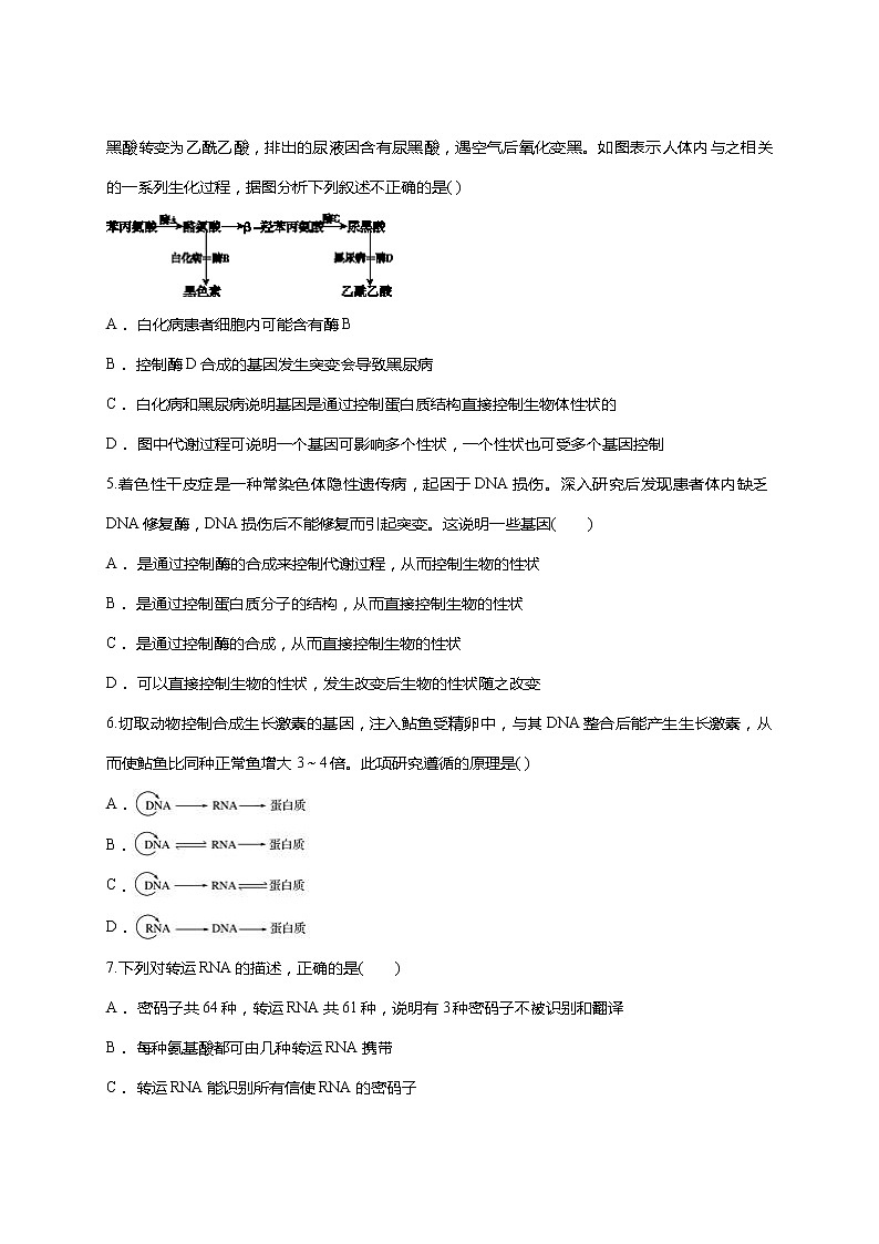 【精编】人教版 高中生物必修二 第4章 基因的表达同步 测试题（含答案）02