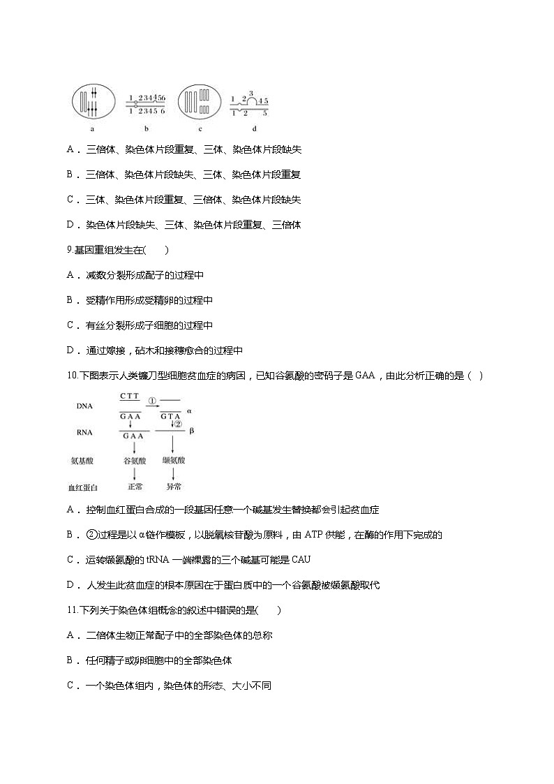 【精编】人教版 高中生物必修二 第5章 基因突变及其他变异同步 测试题（含答案）第3页