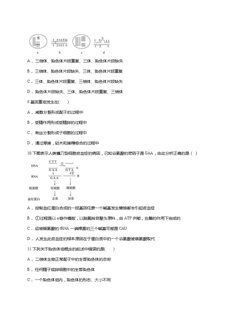 【精编】人教版 高中生物必修二 第5章 基因突变及其他变异同步 测试题（含答案）03