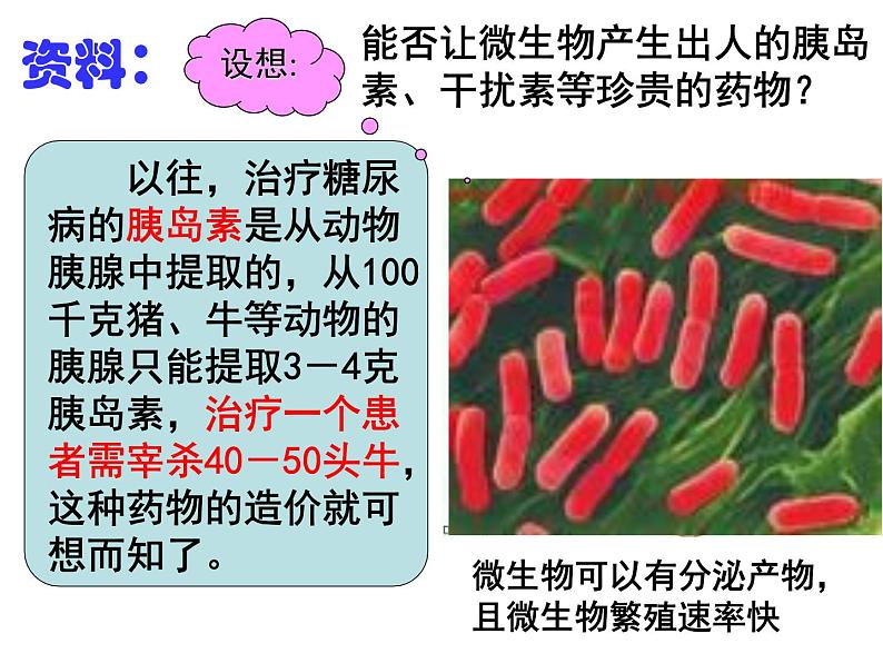 第2 接 基因工程及其应用 课件01