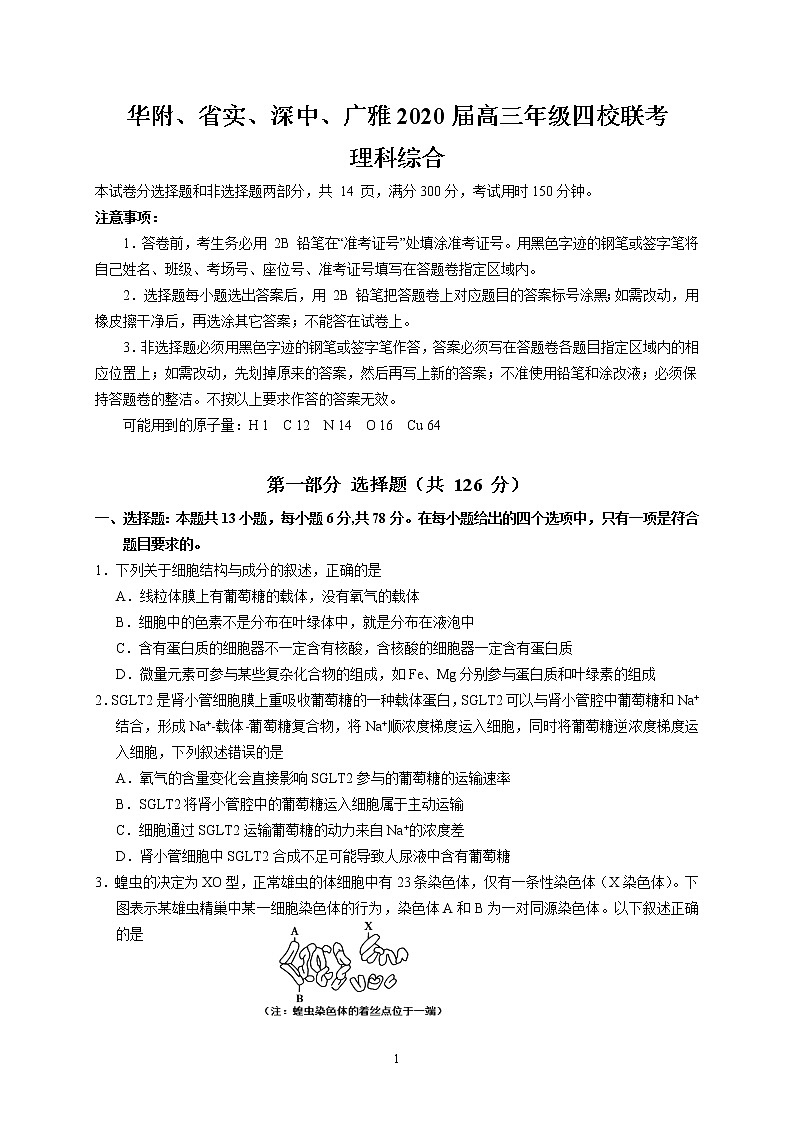 华附、省实、深中、广雅2020届高三年级四校联考（理综）含解析第1页