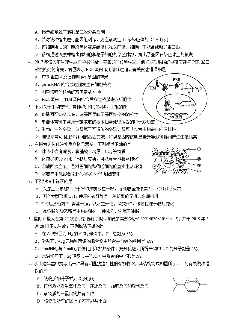 华附、省实、深中、广雅2020届高三年级四校联考（理综）含解析第2页
