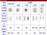 衡水高中用 人教版新课标 必修一 第六章 章节综合与测试 课件