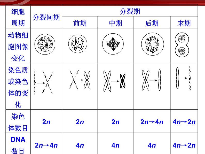 衡水高中用 人教版新课标 必修一 第六章 章节综合与测试 课件03