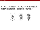 衡水高中用 人教版新課標(biāo) 必修一 第六章 章節(jié)綜合與測(cè)試 課件