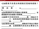 衡水高中用 人教版新课标 必修一 第六章 章节综合与测试 课件