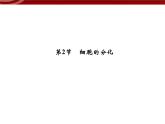 衡水高中用 人教版新课标 必修一  6-2 细胞的分化 课件