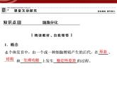 衡水高中用 人教版新课标 必修一  6-2 细胞的分化 课件