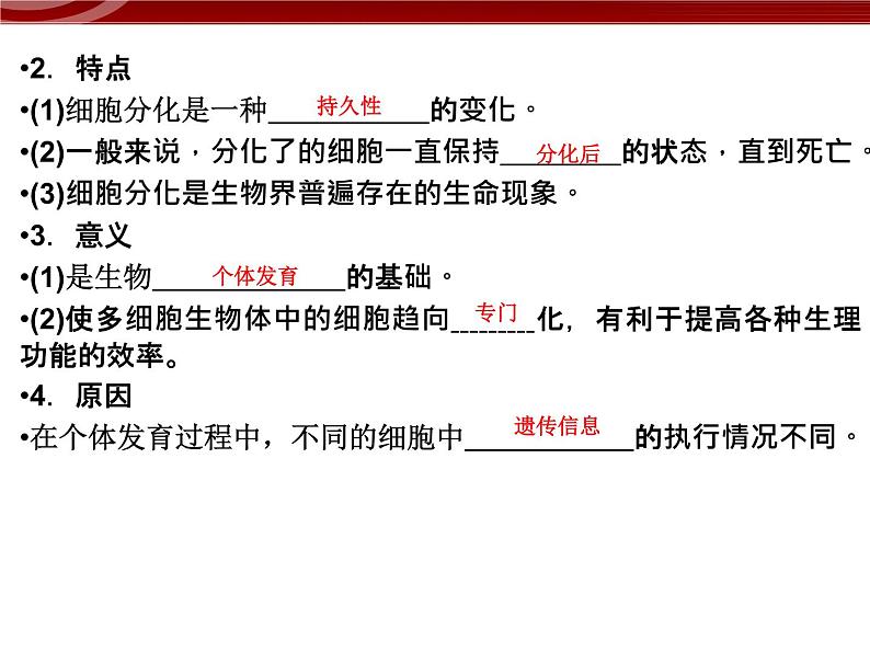 衡水高中用 人教版新课标 必修一  6-2 细胞的分化 课件05