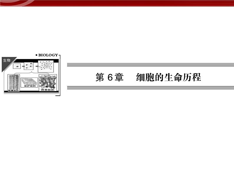 衡水高中用 人教版新课标 必修一  6-1 细胞的增殖 课件01