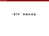 衡水高中用 人教版新课标 必修一  6-1 细胞的增殖 课件