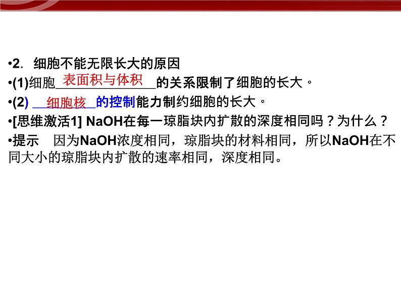 衡水高中用 人教版新课标 必修一  6-1 细胞的增殖 课件08