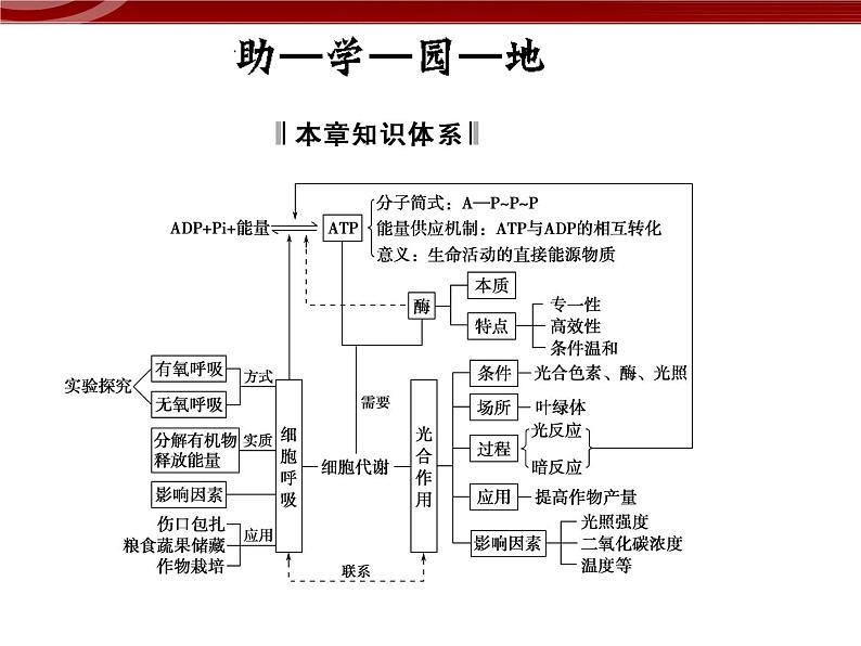 衡水高中用 人教版新课标 必修一  第五章 章节综合与测试 课件02