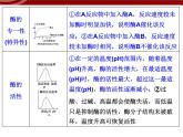 衡水高中用 人教版新课标 必修一  第五章 章节综合与测试 课件