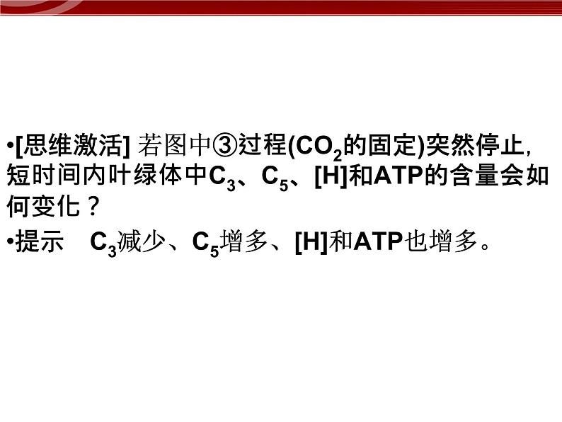 衡水高中用 人教版新课标 必修一  5-4-2 光合作用与能量转化 课件05