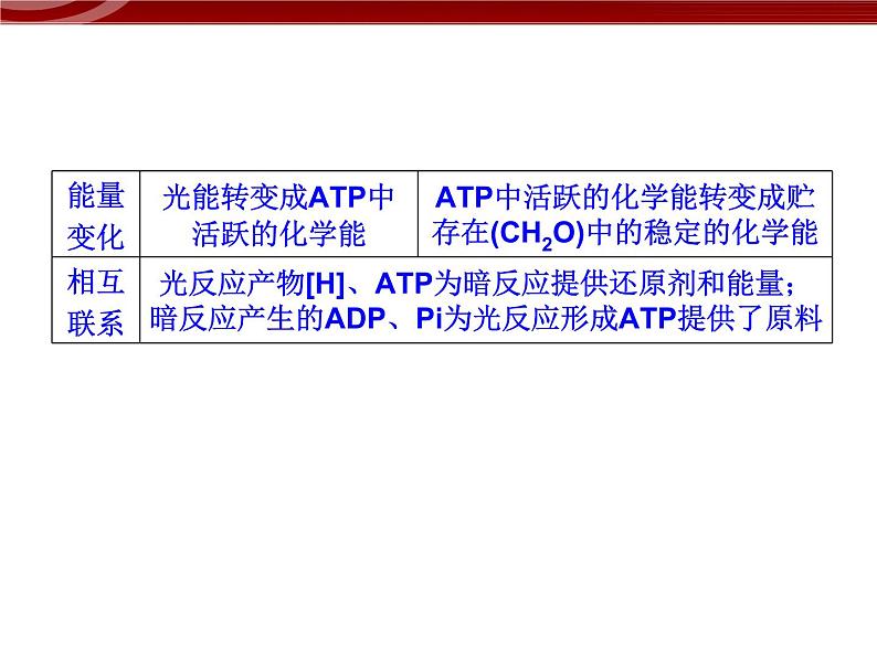 衡水高中用 人教版新课标 必修一  5-4-2 光合作用与能量转化 课件07