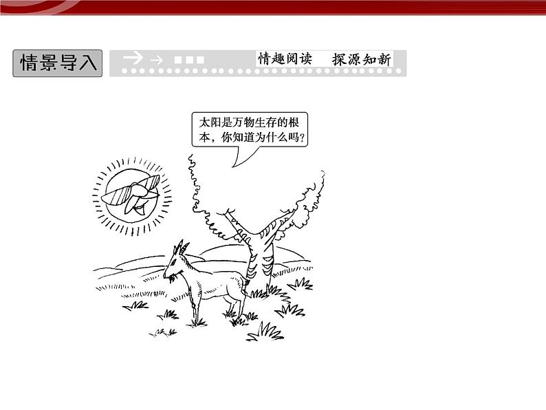 衡水高中用 人教版新课标 必修一  5-4-1 光合作用与能量转化 课件02