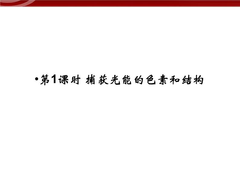 衡水高中用 人教版新课标 必修一  5-4-1 光合作用与能量转化 课件04