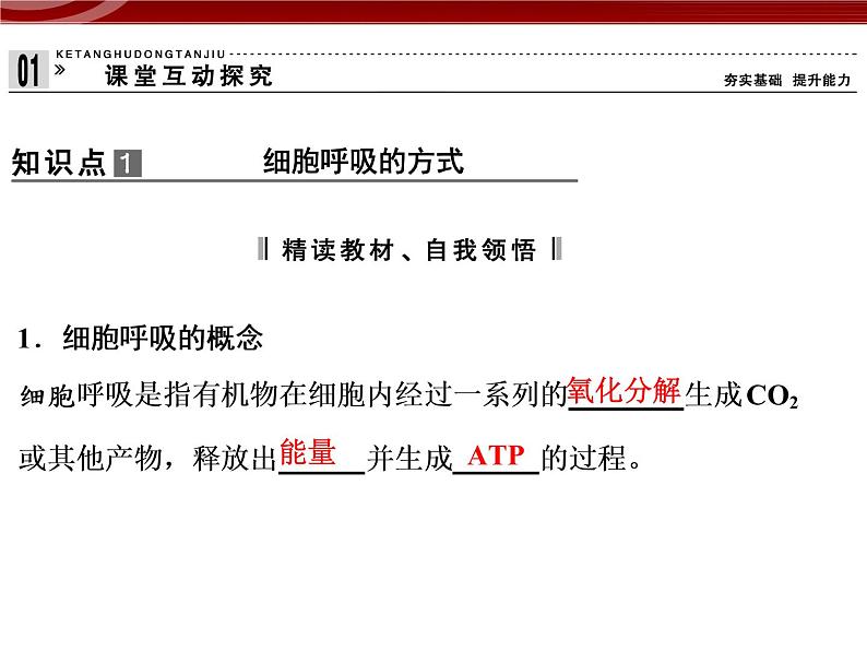 衡水高中用 人教版新课标 必修一  5-3 细胞呼吸的原理和应用 课件04