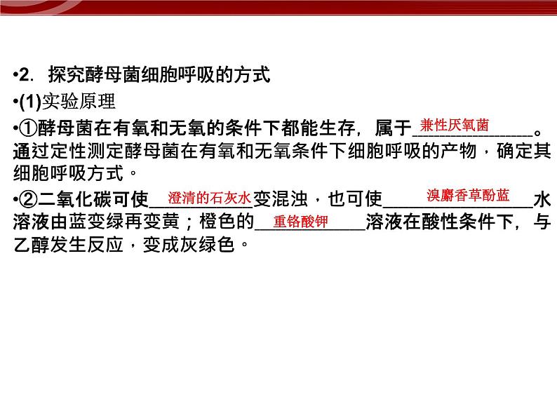 衡水高中用 人教版新课标 必修一  5-3 细胞呼吸的原理和应用 课件05