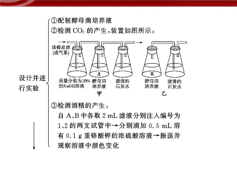 衡水高中用 人教版新课标 必修一  5-3 细胞呼吸的原理和应用 课件07