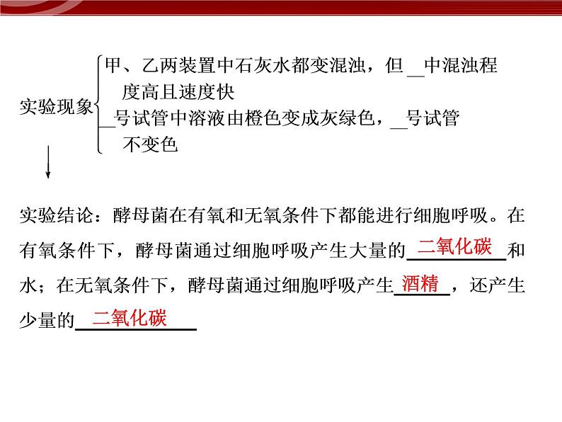 衡水高中用 人教版新课标 必修一  5-3 细胞呼吸的原理和应用 课件08