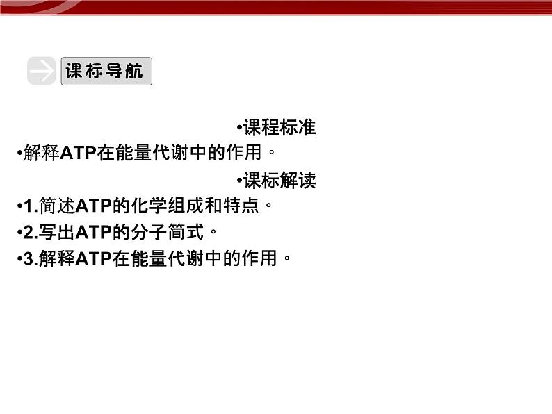 衡水高中用 人教版新课标 必修一  5-2 细胞的能量“货币”ATP 课件03