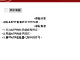 衡水高中用 人教版新课标 必修一  5-2 细胞的能量“货币”ATP 课件