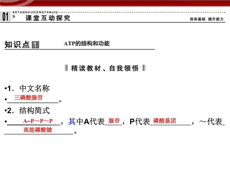 衡水高中用 人教版新课标 必修一  5-2 细胞的能量“货币”ATP 课件04