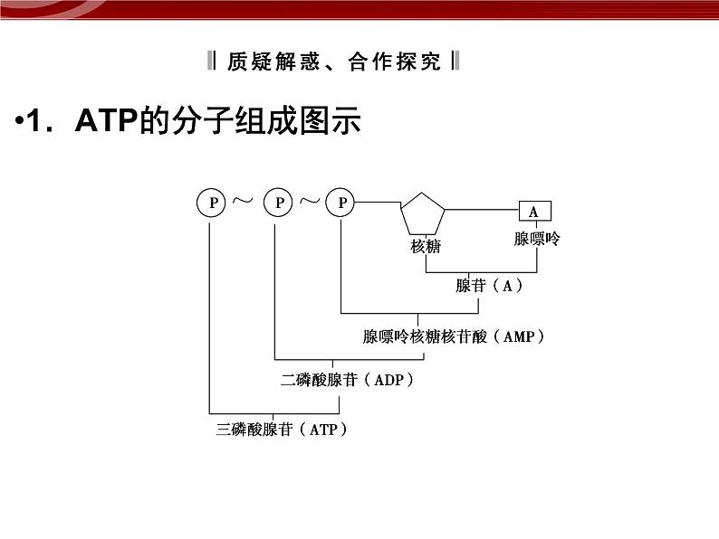 衡水高中用 人教版新课标 必修一  5-2 细胞的能量“货币”ATP 课件06