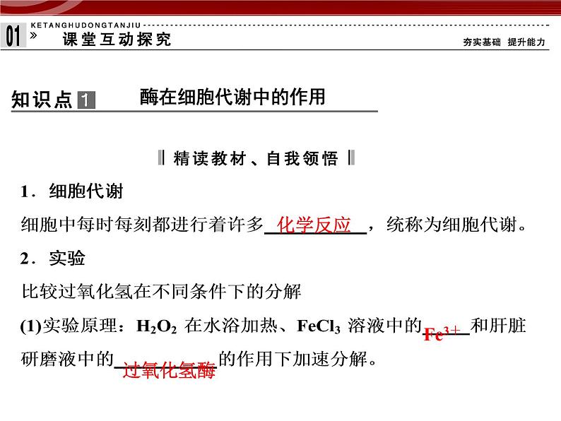 衡水高中用 人教版新课标 必修一  5-1 降低化学反应活化能的酶 课件05