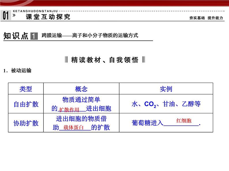 衡水高中用 人教版新课标 必修一  4-1 被动运输 4-2 主动运输与胞吞、胞吐 综合 课件04